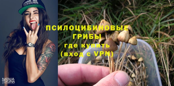 а пвп мука Инсар