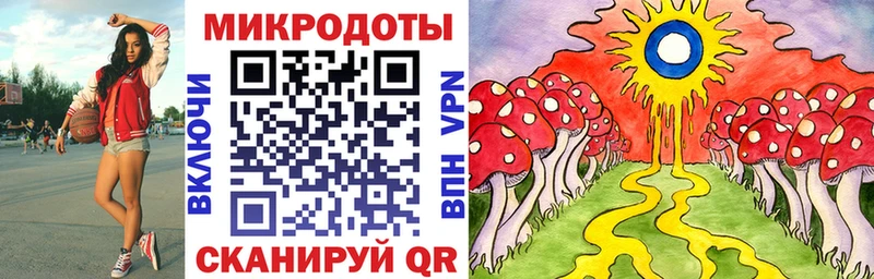 Купить  Можайск  Галлюциногенные грибы Cubensis 